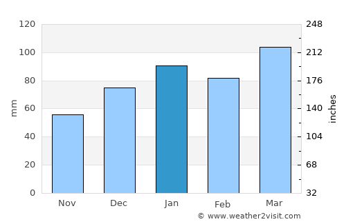 Hilton Head Island average rain in January