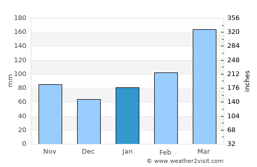 Hitoyoshi average rain in January