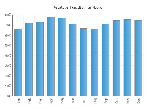Hobyo relative humidity averages