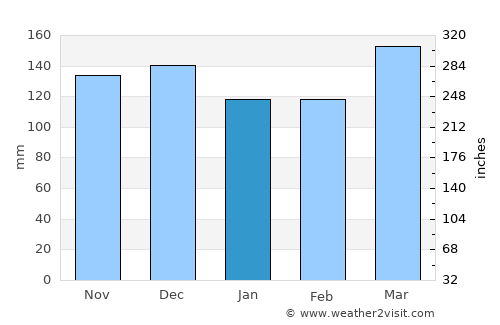 Hohenwald average rain in January