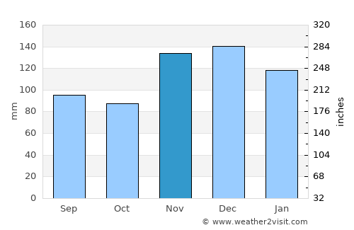 Hohenwald average rain in November