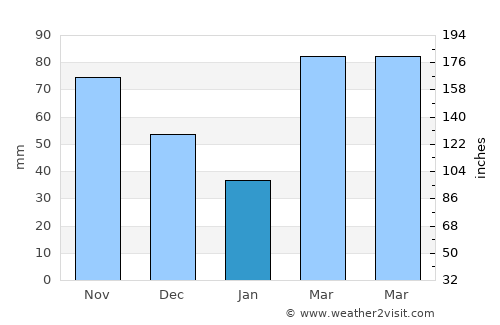 Holdenville average rain in January
