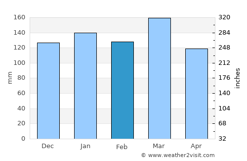 Homer average rain in February
