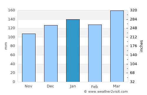 Homer average rain in January