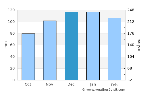 Homer average rain in December