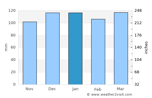 Homer average rain in January