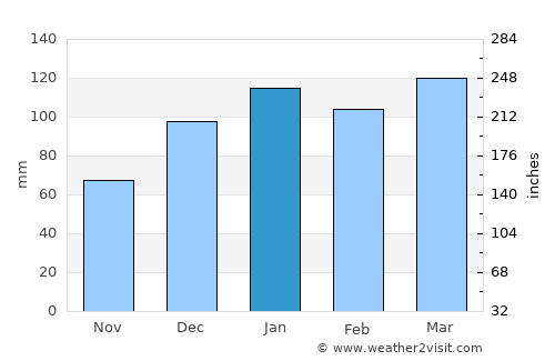 Homerville average rain in January
