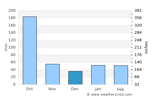 Homestead average rain in December