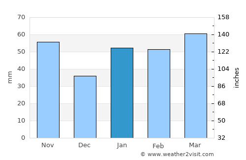 Homestead average rain in January
