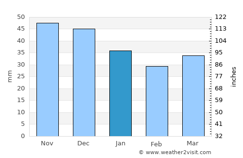 Horki average rain in January