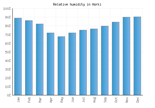 Horki relative humidity averages