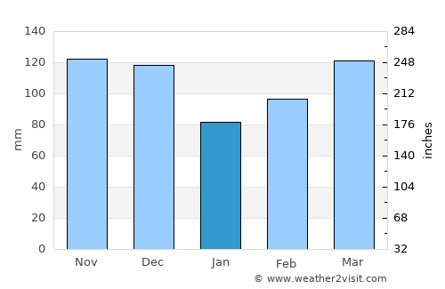 Hot Springs average rain in January