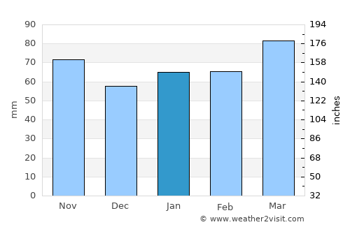 Hotaka average rain in January