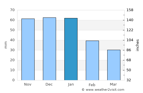 Houston average rain in January