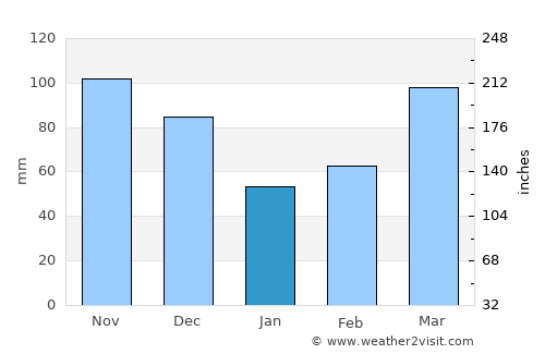 Houston average rain in January