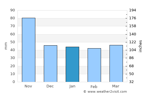 Huatusco de Chicuellar average rain in January