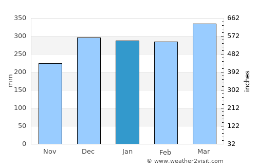 Humaitá average rain in January