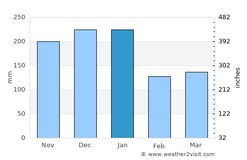 Ibatiba average rain in January