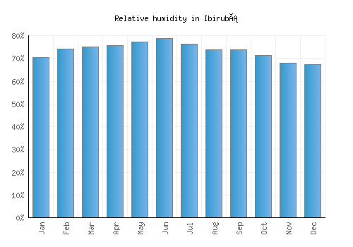 Ibirubá relative humidity averages