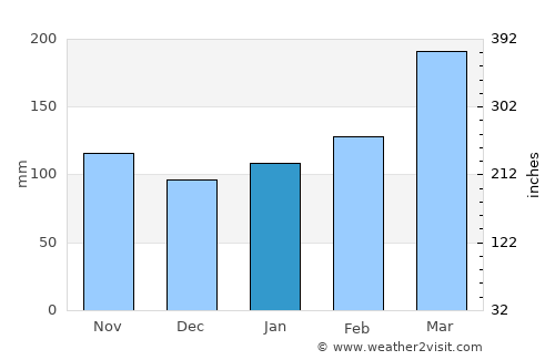 Ibusuki average rain in January