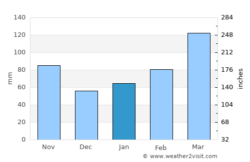 Ichinomiya average rain in January