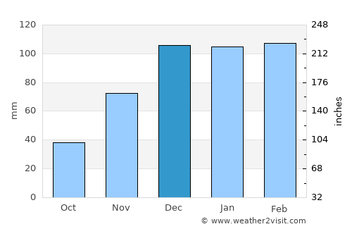 İdil average rain in December