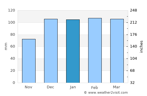 İdil average rain in January
