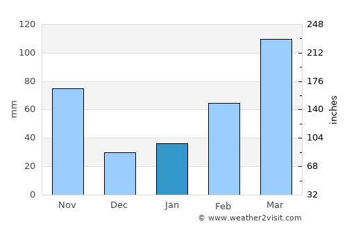 Iida average rain in January