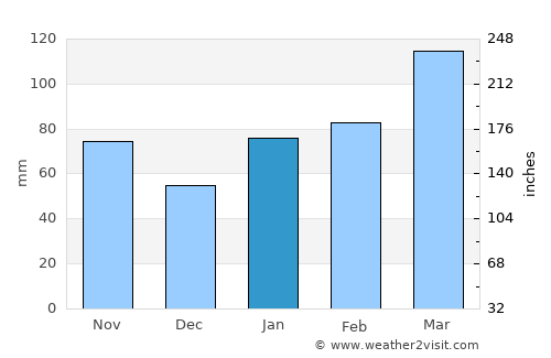 Iizuka average rain in January