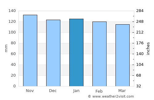 Ijuí average rain in January