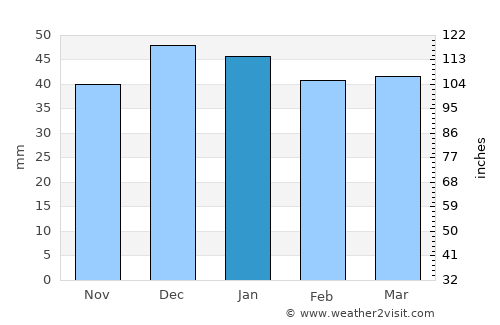 Ilgın average rain in January