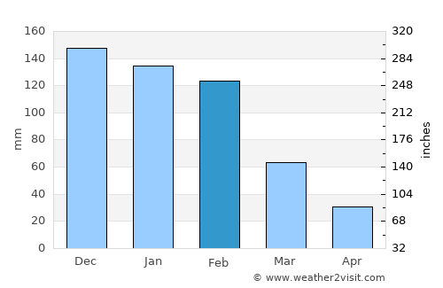 Insiza average rain in February