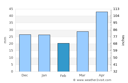 International Falls average rain in February