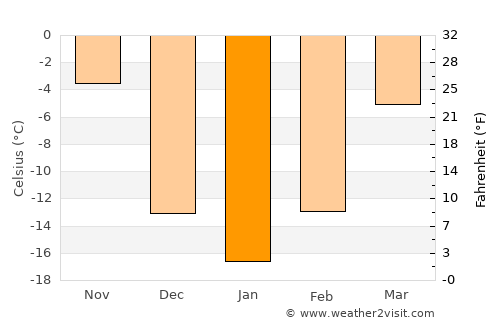 International Falls average temperature in January