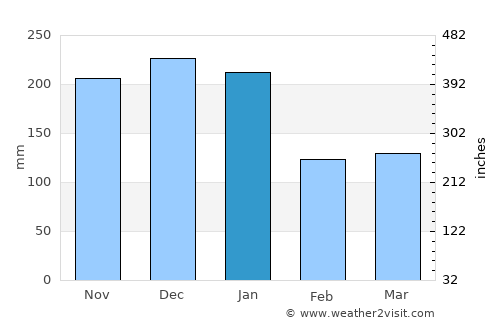 Ipatinga average rain in January
