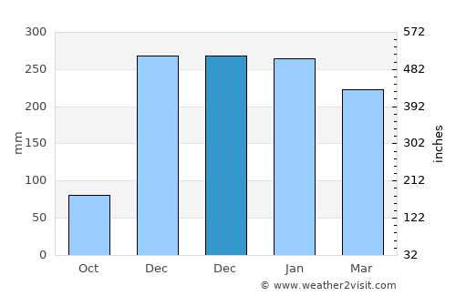 Iracoubo average rain in December