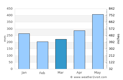 Iracoubo average rain in March