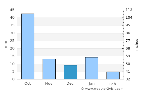 Irapuato average rain in December
