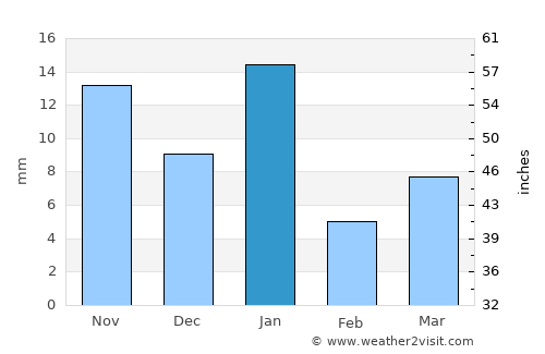 Irapuato average rain in January