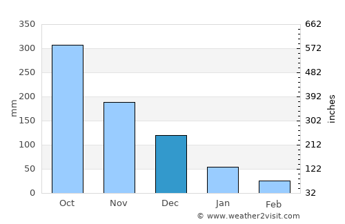 Irirum average rain in December