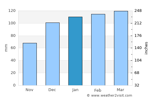 Irwinton average rain in January