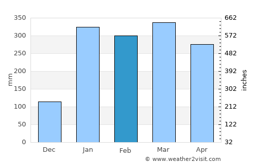 Itacoatiara average rain in February