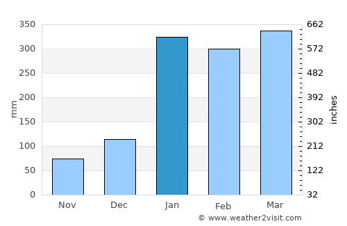 Itacoatiara average rain in January