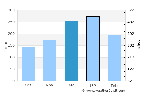 Ituiutaba average rain in December
