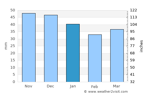 Ivatsevichy average rain in January