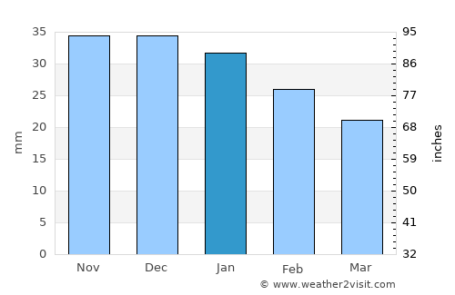Izamal average rain in January