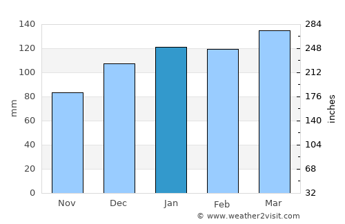 Jackson average rain in January