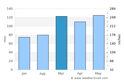 Jackson average rain in March
