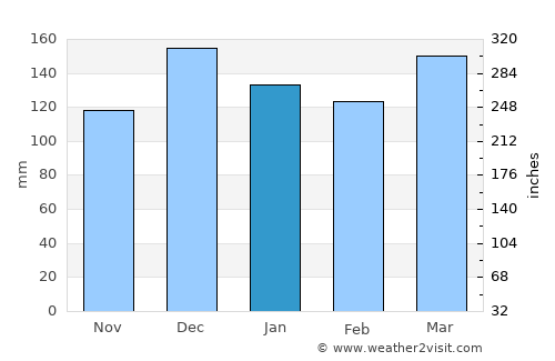 Jackson average rain in January