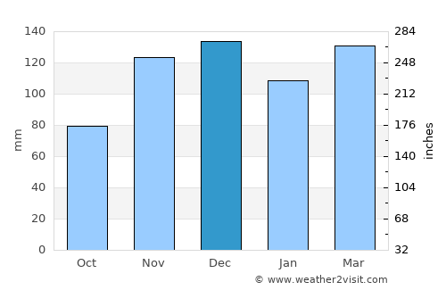 Jackson average rain in December